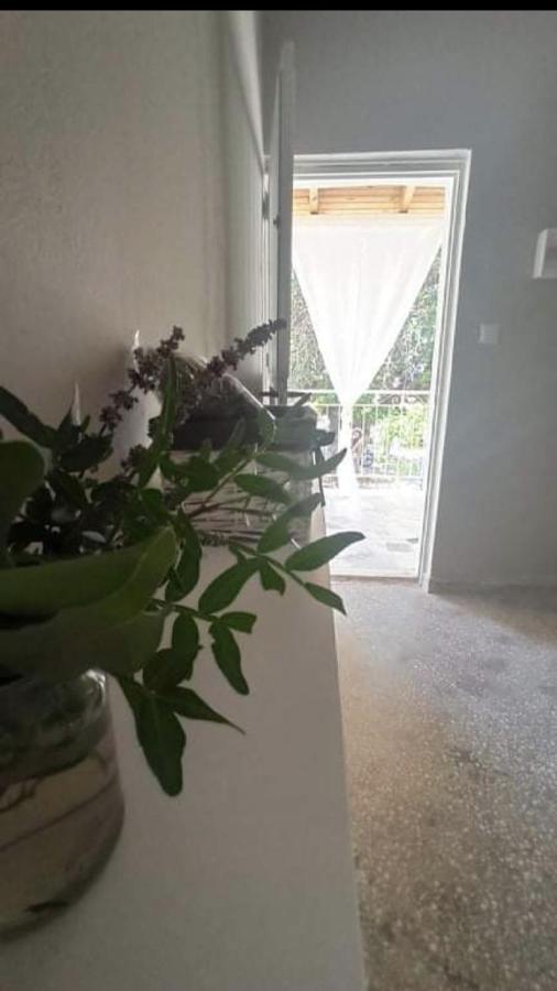 Αγρόκτημα Χελωναριά - Agroktima Chelonaria Albergue Chrani Exterior foto