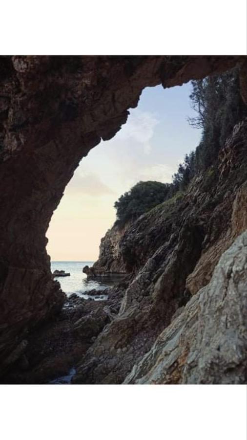 Αγρόκτημα Χελωναριά - Agroktima Chelonaria Albergue Chrani Exterior foto