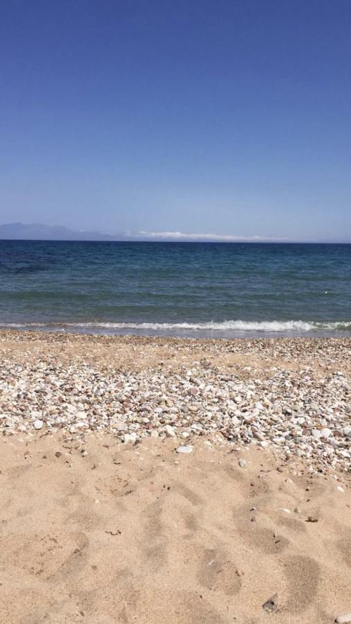 Αγρόκτημα Χελωναριά - Agroktima Chelonaria Albergue Chrani Exterior foto